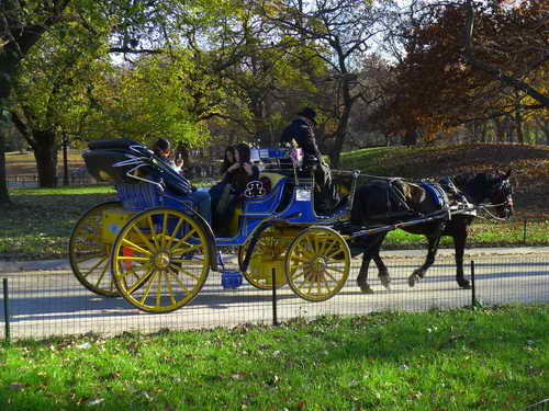 NYC_2012-11-22 14-44-55_P1070570